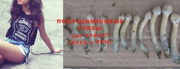 дживик Алзамай