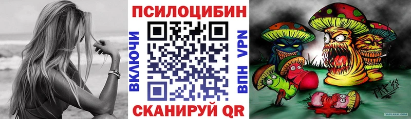 Псилоцибиновые грибы Cubensis  Новосибирск 