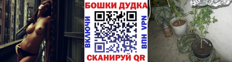 купить наркоту  Новосибирск  Бошки марихуана марихуана 